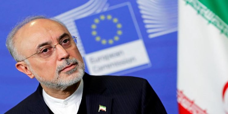 هشدار صالحی به اروپا: کاسه صبر ایران در حال لبریز شدن است