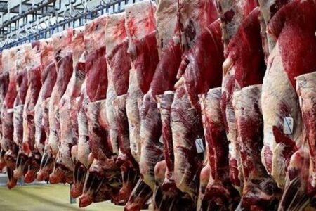 عرضه سراسری گوشت گرم وارداتی از امروز چهارشنبه ۲۶ بهمن ماه ۱۴۰۱