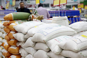 قیمت برنج ایرانی و خارجی در بازار +جدول