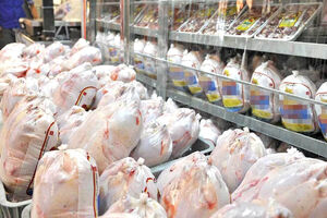 قیمت انواع مرغ بسته بندی در بازار