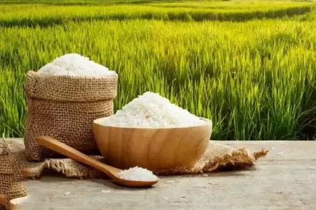 ممنوعیت واردات برنج لغو شد؟