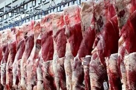 هر کیلوگوشت گوساله چند ؟ / تهرانی ها از اینجا گوشت ارزان بخرند