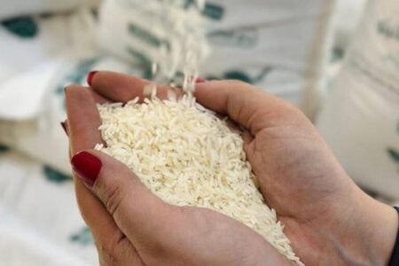 قیمت برنج ایرانی فروردین ۱۴۰۴ / برنج هاشمی، دودی، نیم‌دانه، طارم کیلویی چند؟ + جدول