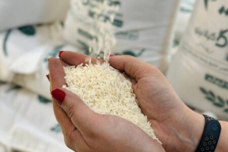 قیمت برنج ایرانی اردیبهشت ۱۴۰۴ / برنج هاشمی، نیم‌دانه، عنبربو و دودی کیلویی چند؟ + جدول