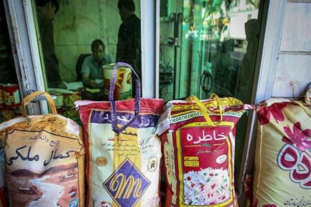 قیمت برنج هندی به شدت ارزان شد / اعلام قیمت برنج هندی در خرداد ۱۴۰۴