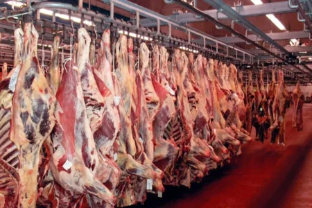 قیمت گوشت قرمز امروز ۴ خرداد ۱۴۰۴/ ران گوسفندی چند؟ + جدول