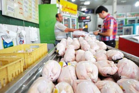 خبر مهم از افزایش قیمت مرغ