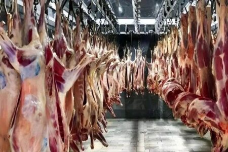 قیمت گوشت گوسفندی و گوساله امروز ۳ مرداد+ جدول