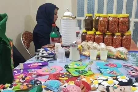تسهیلات پشتیبان مشاغل خانگی
