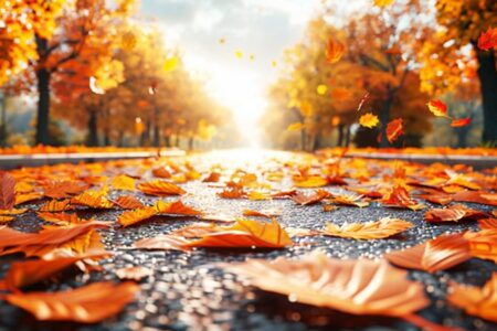 سامانه بارشی جدید وارد شد/ هشدار بارش‌های سیل‌آسا در این استان ها