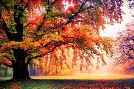 ورود سامانه بارشی جدید به کشور از فردا؛ کاهش ۱۰ درجه‌ای دما در این استان ها