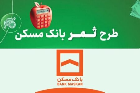 طرح ثمر بانک مسکن، پلی میان سیاست های مالی با هدف خانه دار شدن جوانان