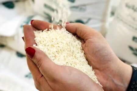قیمت برنج نجومی شد/ لیست قیمت جدید برنج ایرانی در بازار آبان+ جدول