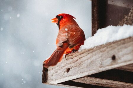هشدار هواشناسی/ این ۲۰ استان آماده بارش شدید شوند!