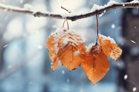 سامانه بارشی جدید به کشور وارد شد/ این استان ها از فردا منتظر برف و باران شدید باشند