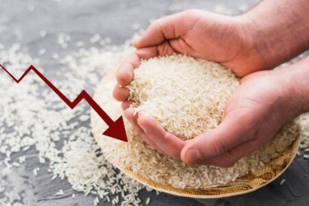 فوری/ سقوط قیمت برنج هندی آغاز شد