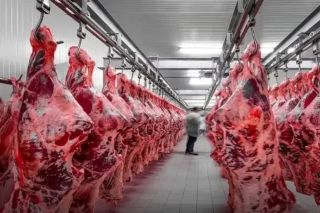 قیمت گوشت قرمز بهمن ۱۴۰۴ + جدول