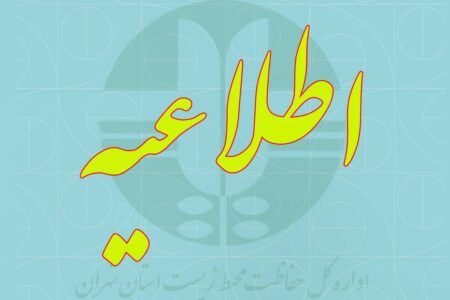 مشمولان بخوانند/ جزئیات جدید تأیید سوابق تحصیلی کنکور اعلام شد