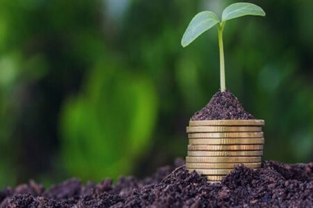 خبر خوش برای کشاورزان/ پرداخت غرامت خسارت‌دیدگان ادامه دارد