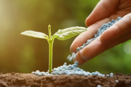قیمت کود شیمیایی از سوی وزارت جهاد کشاورزی اعلام شد