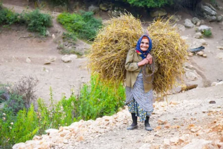 خبر مهم دولت برای روستاییان دهک‌های ۶ تا ۱۰ / حق بیمه روستاییان اعلام شد