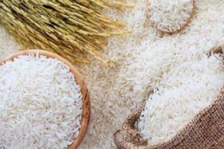 قیمت هر کیلو برنج مرغوب در استان‌های شمالی ۳۸۰ هزار تومان شهریور ۱۴۰۵